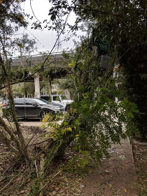 bagby_hawthorne_accident_dec2018